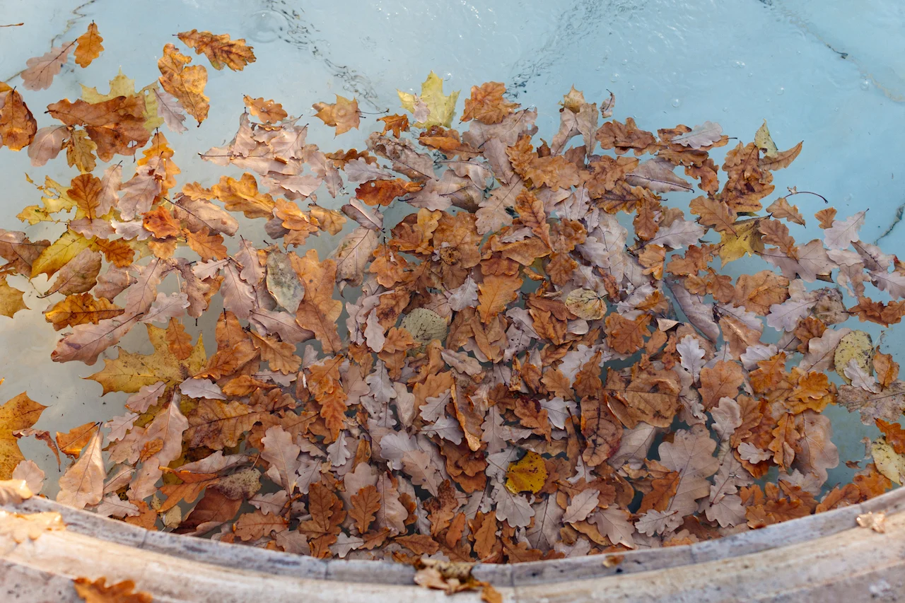 Why Is My Pool Pump Making Noise? Seven Possible Causes